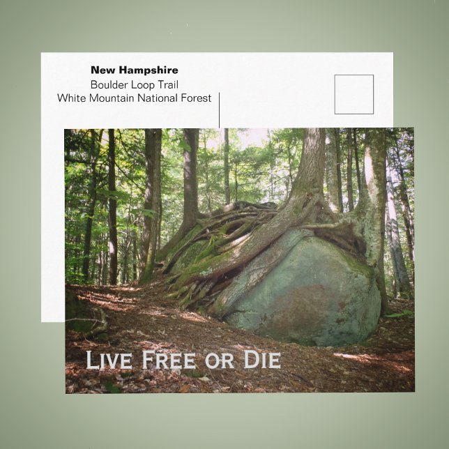 Live Free or Die New Hampshire Foto Vykort (Skapare uppladdad)