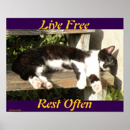 "Live Free", Smiler, cute, cat, gift Poster