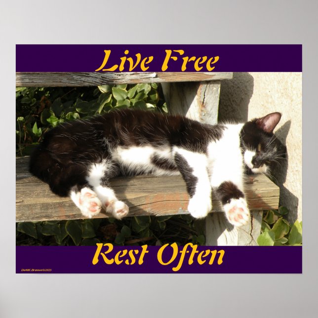 "Live Free", Smiler, cute, cat, gift Poster (Framsidan)