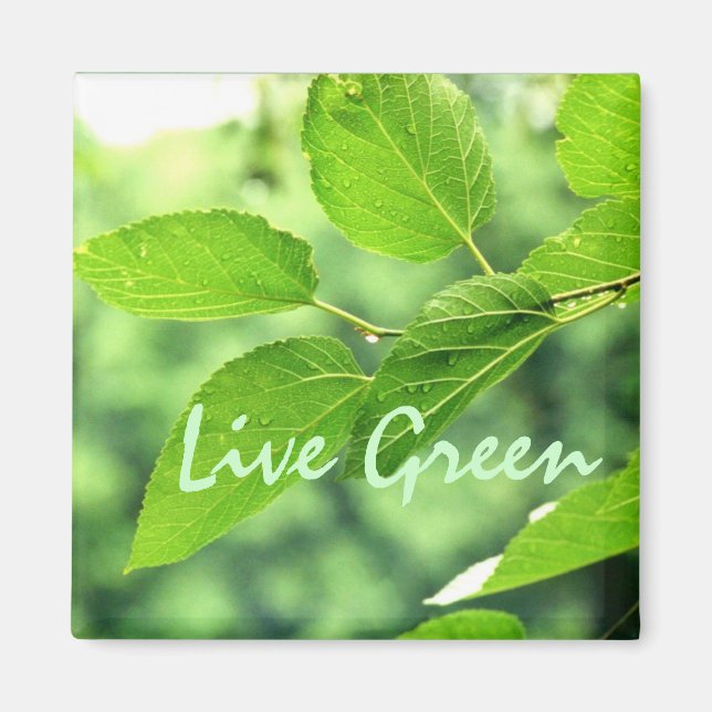 "Live Grönt" Magnet (Framsidan)