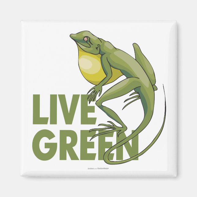Live Grönt Magnet (Framsidan)