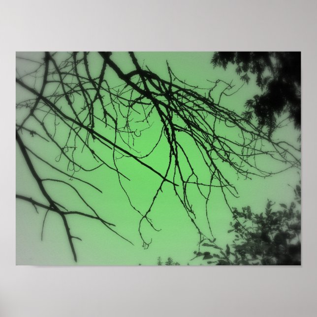 Live Grönt Poster (Framsidan)