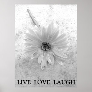 Live Kärlek Laugh Black and White Gerber Daisy Poster