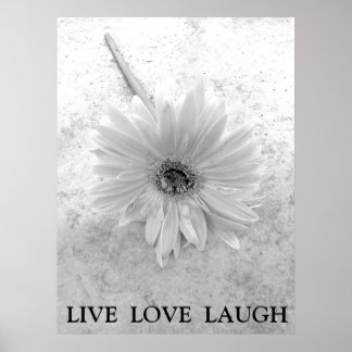 Live Kärlek Laugh Black and White Gerber Daisy Poster
