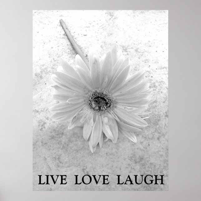 Live Kärlek Laugh Black and White Gerber Daisy Poster (Framsidan)