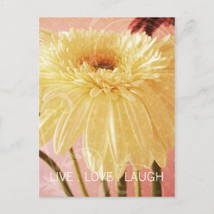 Live Kärlek Laugh Gerbera Flower Light Grunge Vykort