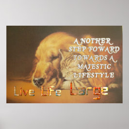 Live Life Large har en trevlig dag - Katt och Hund Poster