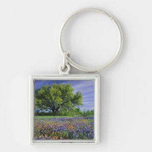 Live Oak & Texas Paintbrush, och Texas Fyrkantig Silverfärgad Nyckelring