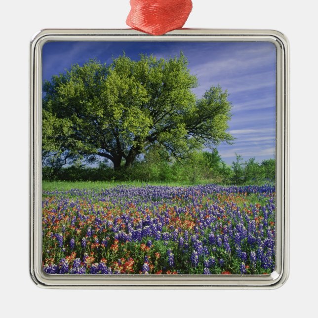 Live Oak & Texas Paintbrush och Texas Julgransprydnad Metall (Framsidan)
