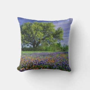 Live Oak & Texas Paintbrush, och Texas Kudde