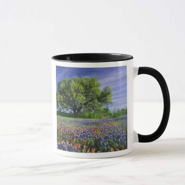 Live Oak & Texas Paintbrush, och Texas Mugg (Höger)