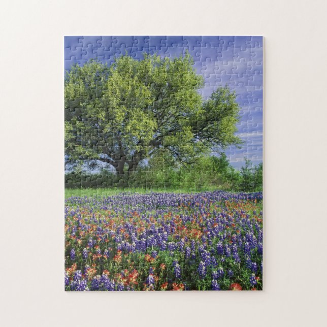 Live Oak & Texas Paintbrush och Texas Pussel (Vertikal)