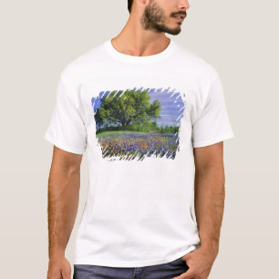 Live Oak & Texas Paintbrush, och Texas T Shirt