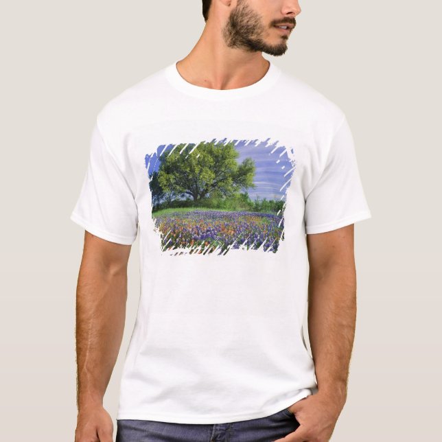 Live Oak & Texas Paintbrush, och Texas T Shirt (Framsida)