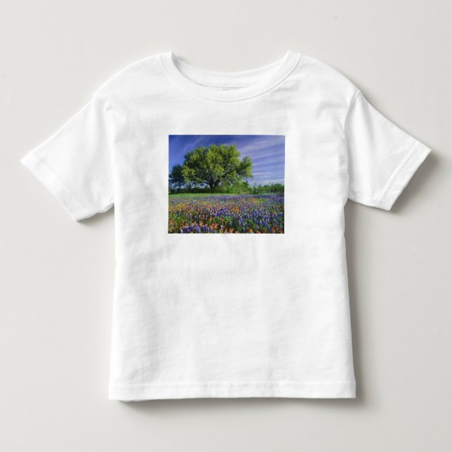 Live Oak & Texas Paintbrush, och Texas T Shirt (Framsida)