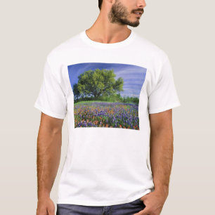 Live Oak & Texas Paintbrush, och Texas Tee