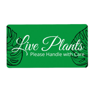 Live Plants Please Handle With Care Monstera Fraktsedel