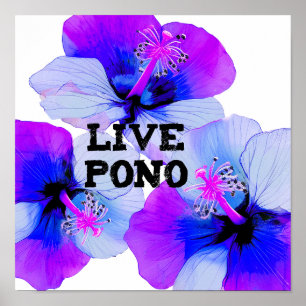 Live Pono Hawaiian Hibiscus Lila Blå Blommig  Poster