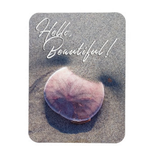 Live Sand Dollar Photo Hej Benice Magnet