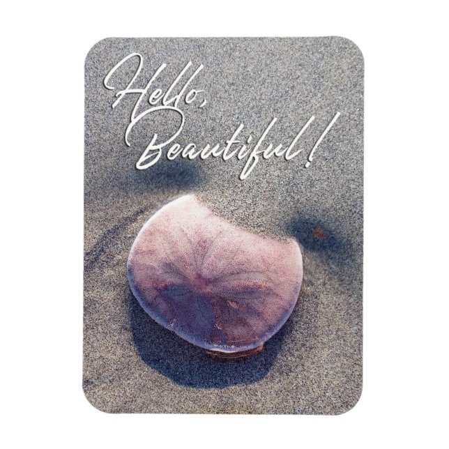 Live Sand Dollar Photo Hej Benice Magnet (Vertikal)