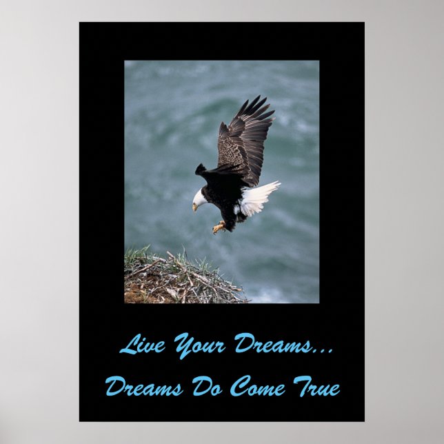 Live Your Dreams Poster (Framsidan)