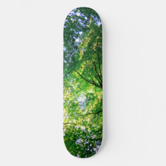 LiveGreen Skateboard