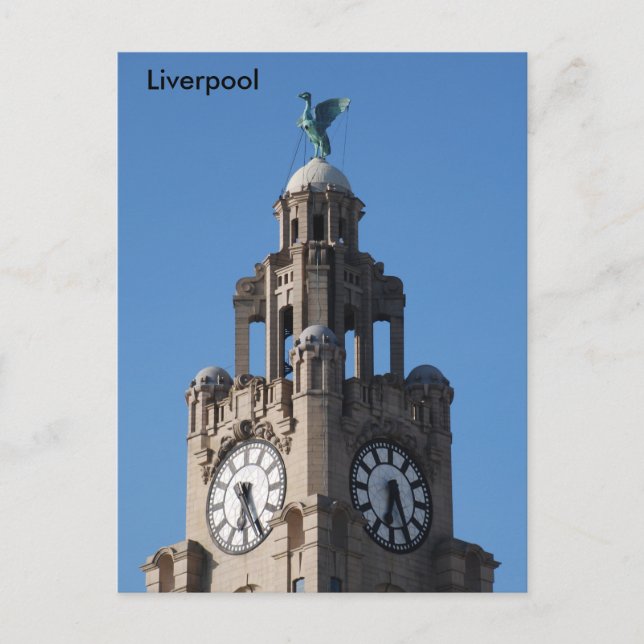 Liver Bird vykort (Framsida)