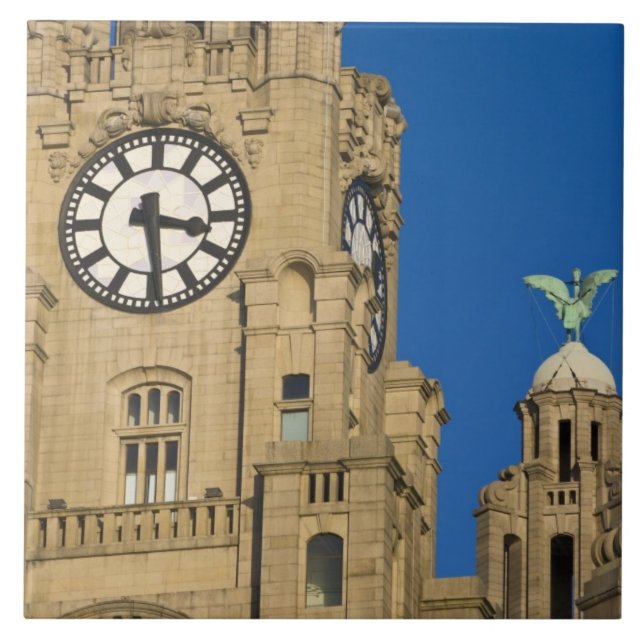 Liver Byggnad, Liverpool, Merseyside, England Kakelplatta (Framsidan)