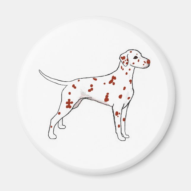 Liver Dalmatien Magnet (Framsidan)