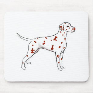 Liver Dalmatien Musmatta