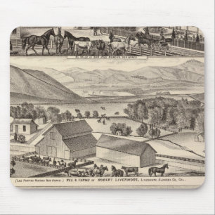 Livermore, Bardellini-bostäder, gårdar, hotell Musmatta