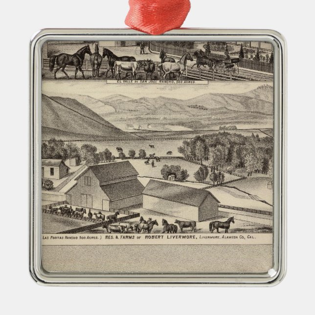 Livermore Bardellini uppehåll, lantgårdar, hotell Julgransprydnad Metall (Framsidan)