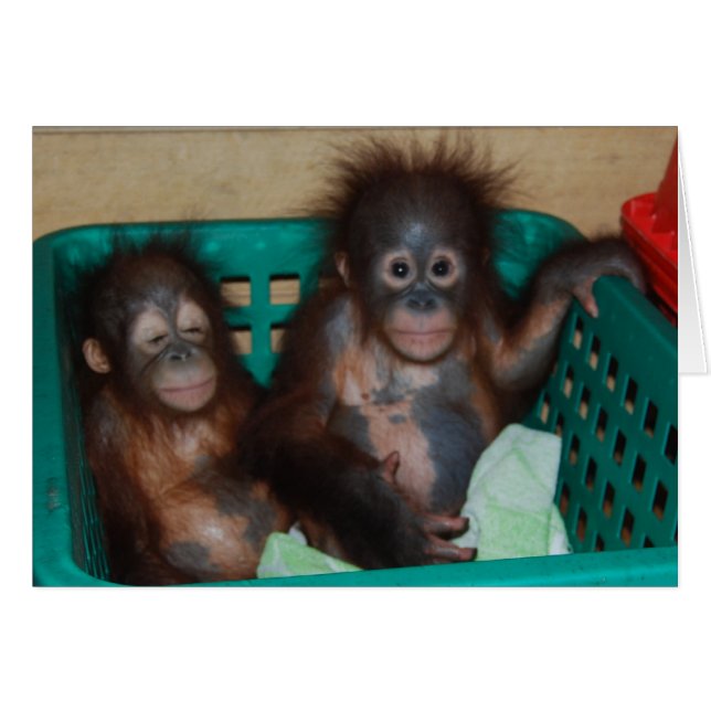 Livet är bäst när det delas OBS kort (Framsidan Horizontal)