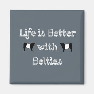 Livet är bättre med Belties Belds Belds Galloway C Magnet