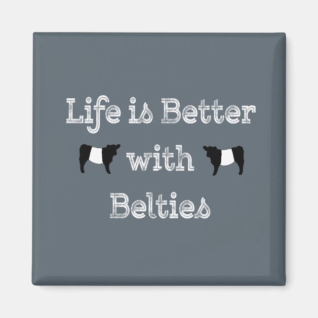 Livet är bättre med Belties Belds Belds Galloway C Magnet (Framsidan)