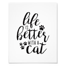 Livet är bättre med en Cat Cute Cat Captions Aesth