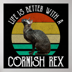 Livet Är Bättre Med En Cornish Rex Poster