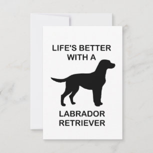 Livet är bättre med en Labrador Retriever Tack Kort