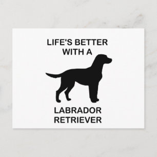 Livet är bättre med en labrador retriever vykort