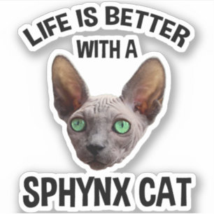 Livet är bättre med en sfärisk katt klistermärken