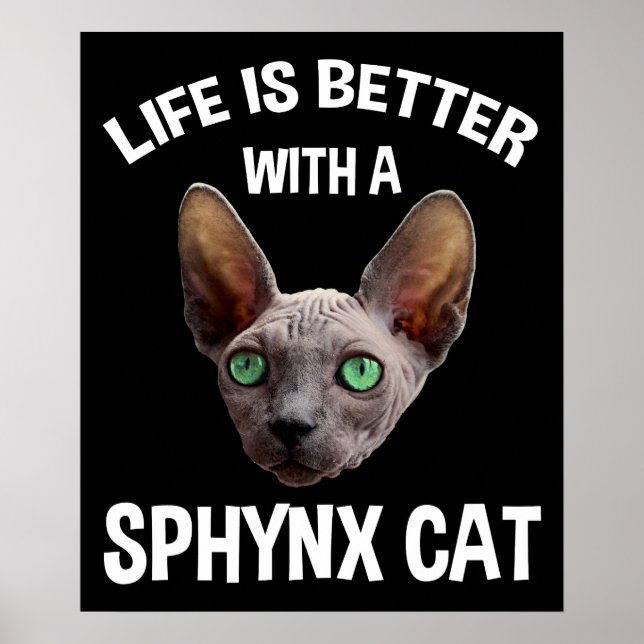 Livet är bättre med en sfärisk katt poster (Framsidan)