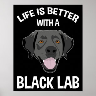 Livet är bättre med en Svart lab Poster