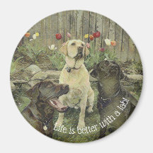 Livet är bättre med ett LAB Magnet