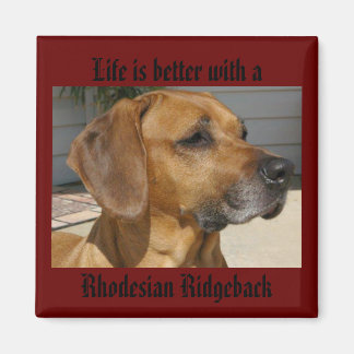 Livet är bättre med ett RHODESIAN RIDGEBACK MAGNET