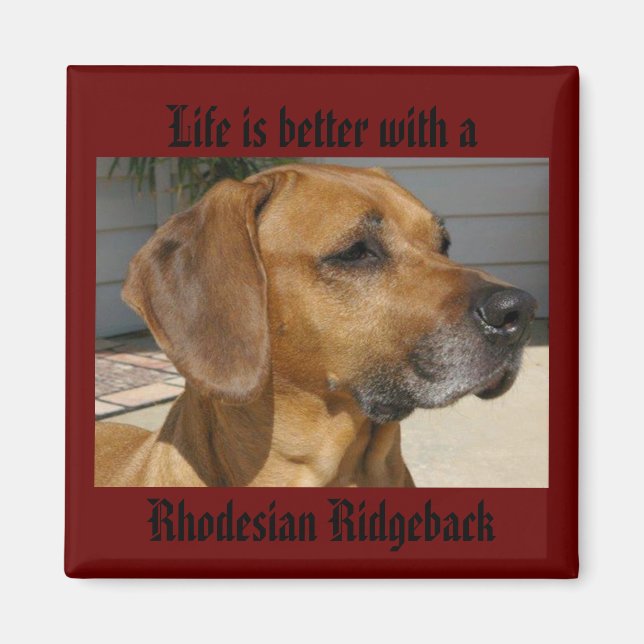 Livet är bättre med ett RHODESIAN RIDGEBACK MAGNET (Framsidan)