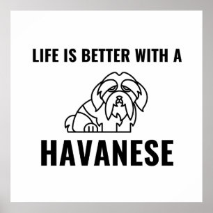 Livet är bättre med havan poster