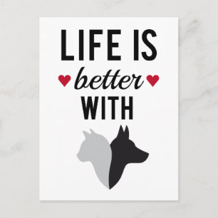 Livet är bättre med katt och hund, textdesign vykort