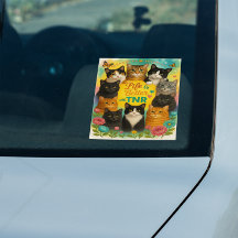 Livet är bättre med TNR