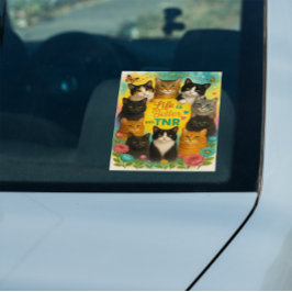 Livet är bättre med TNR