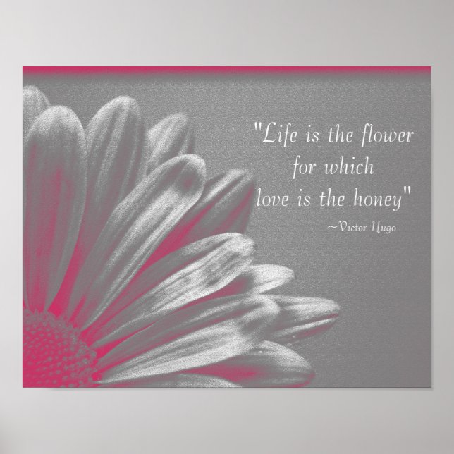 Livet är blomman - rosa tusenskönor poster (Framsidan)